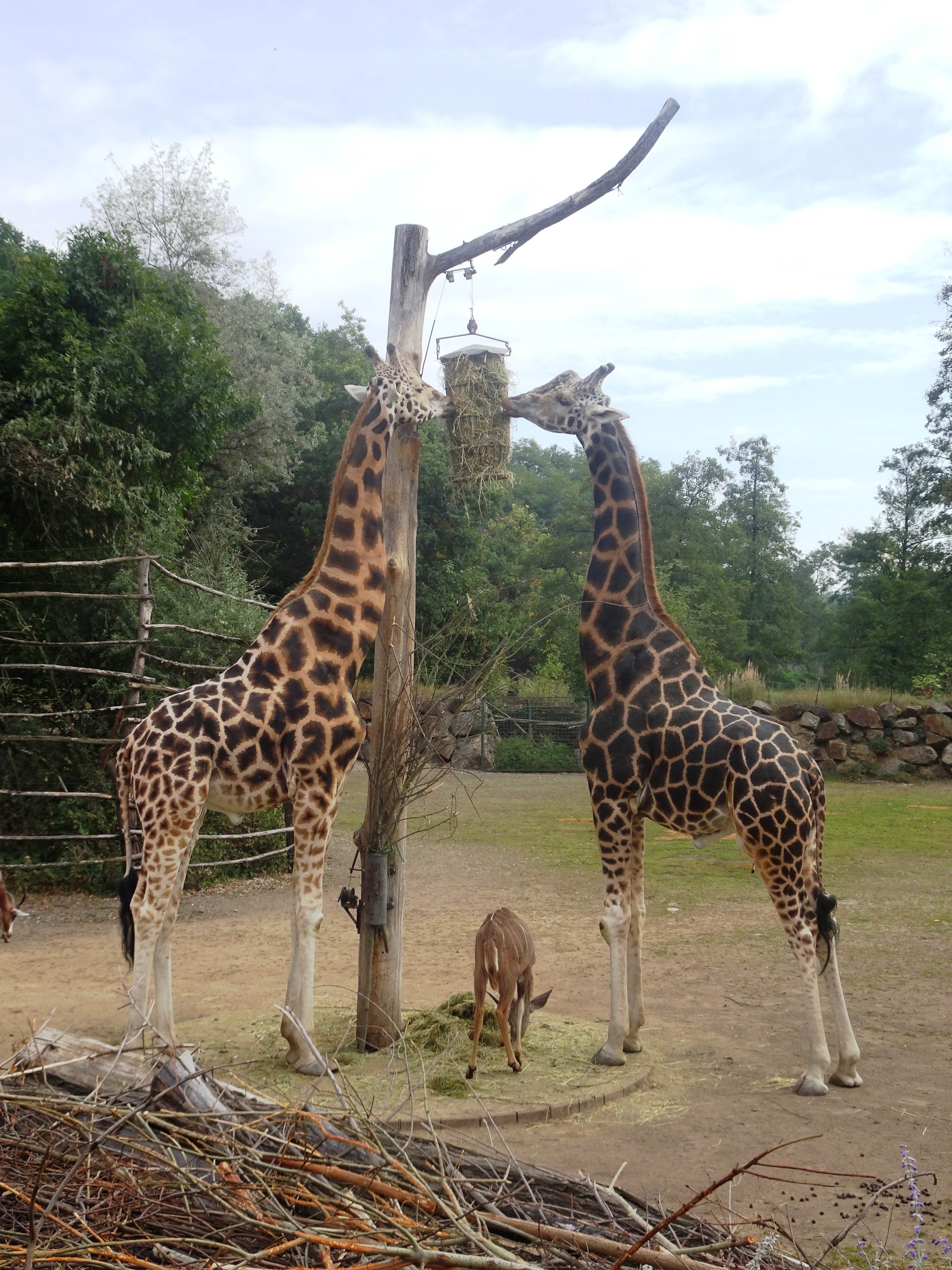 Autor: RomanM82 – Vlastní dílo, CC BY-SA 4.0