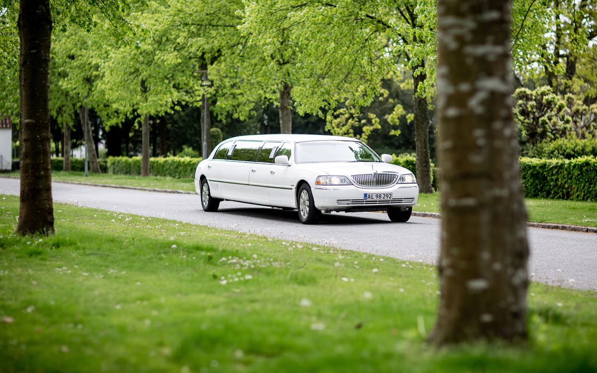 Autor: RomanM82 – Vlastní dílo, CC BY-SA 4.0