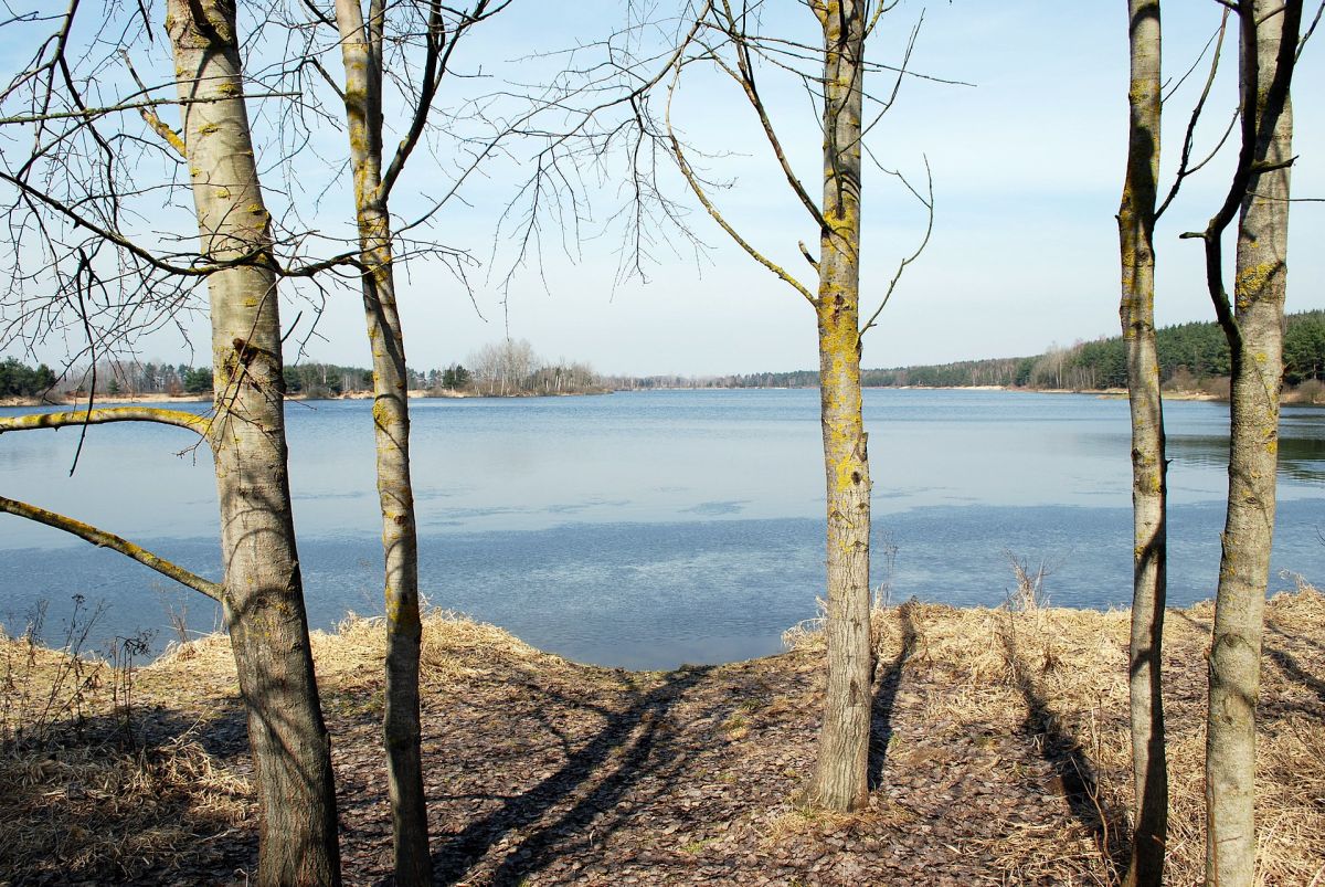 Autor: RomanM82 – Vlastní dílo, CC BY-SA 4.0