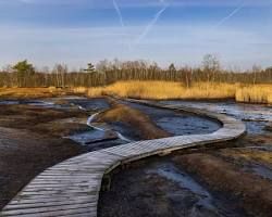 Autor: RomanM82 – Vlastní dílo, CC BY-SA 4.0