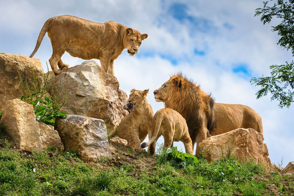 Autor: RomanM82 – Vlastní dílo, CC BY-SA 4.0