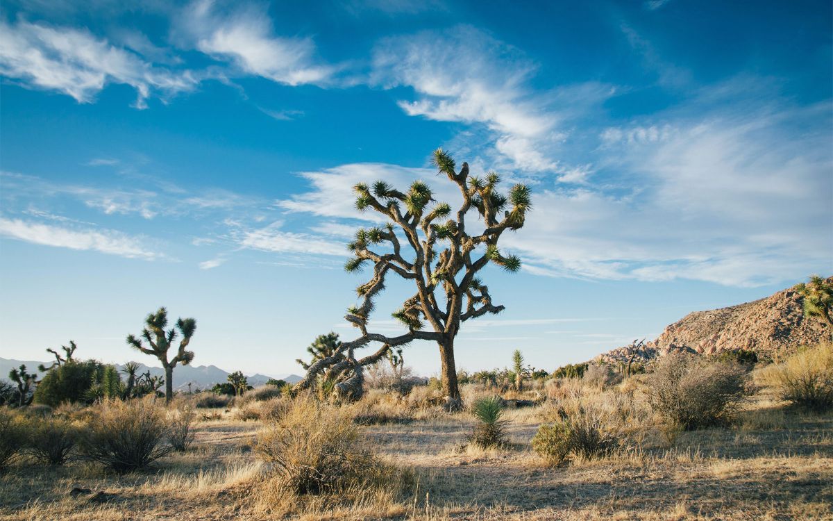 Autor: RomanM82 – Vlastní dílo, CC BY-SA 4.0