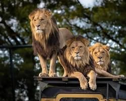 Autor: RomanM82 – Vlastní dílo, CC BY-SA 4.0