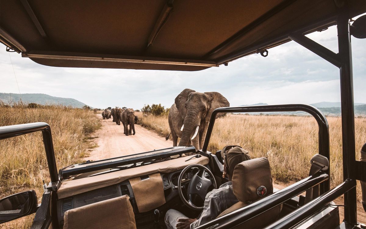 Autor: RomanM82 – Vlastní dílo, CC BY-SA 4.0