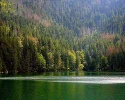 Autor: RomanM82 – Vlastní dílo, CC BY-SA 4.0